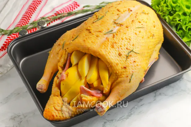 Шаг 5: иллюстрация