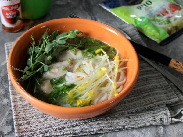 Фото готового блюда: Суп фо га (с курицей)