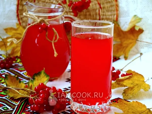 Фото готового блюда: Калиновый морс