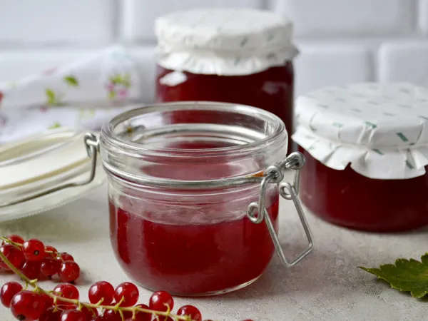 Фото блюда: Силт из красной смородины