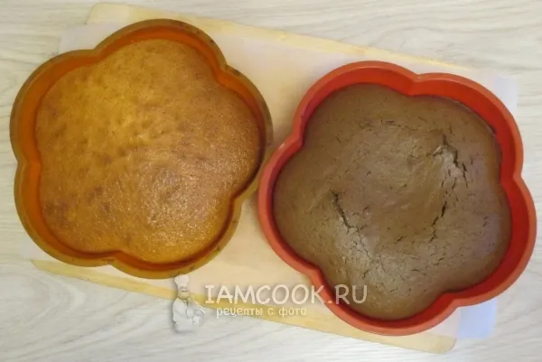 Шаг 11: иллюстрация