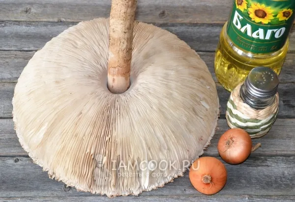 Шаг 1: иллюстрация