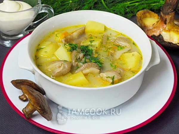Фото блюда: Грибной суп из маслят