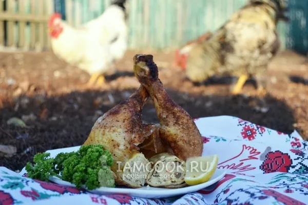 Шаг 27: иллюстрация