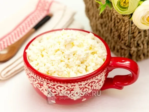 Фото готового блюда: Домашний творог из молока и кефира