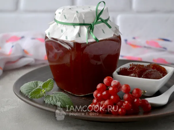 Фото блюда: Варенье из калины (без косточек)