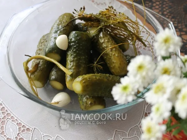 Фото блюда: Квашеные огурцы на зиму без уксуса