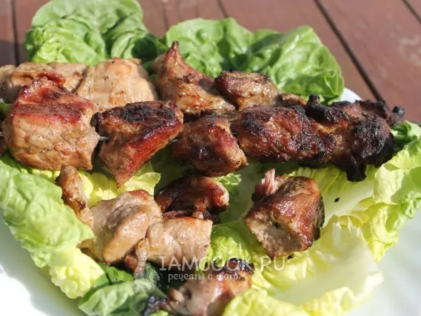 Фото готового блюда: Шашлык из свинины на минералке