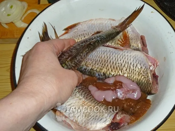 Шаг 1: иллюстрация