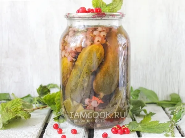 Фото блюда: Огурцы с красной смородиной на зиму