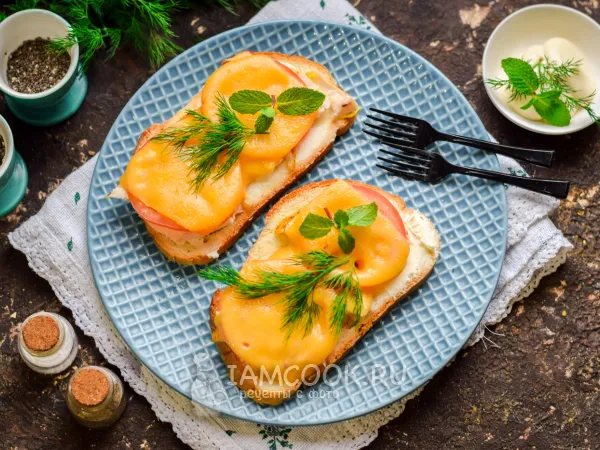 Фото готового блюда: Горячие бутерброды с курицей и сыром в микроволновке