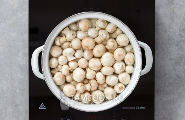 Шаг 3: иллюстрация