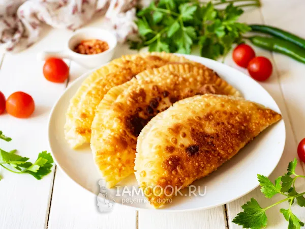 Фото готового блюда: Чебуреки с сыром и творогом