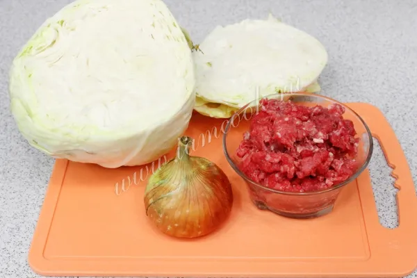 Шаг 1: иллюстрация