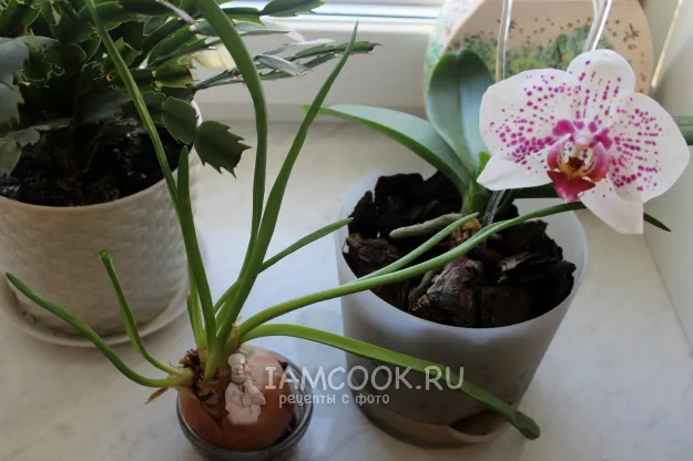 Шаг 2: иллюстрация