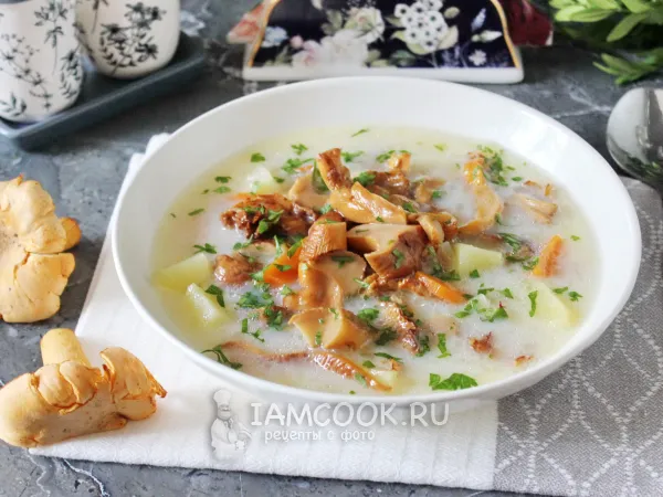 Фото блюда: Суп из лисичек со сливками