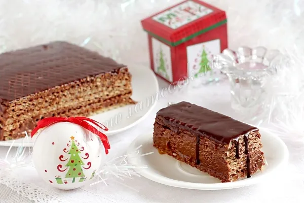 Шаг 12: иллюстрация