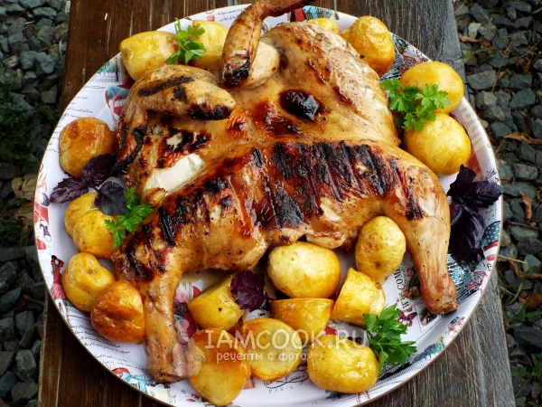 Фото блюда: Курица в соусе терияки на мангале