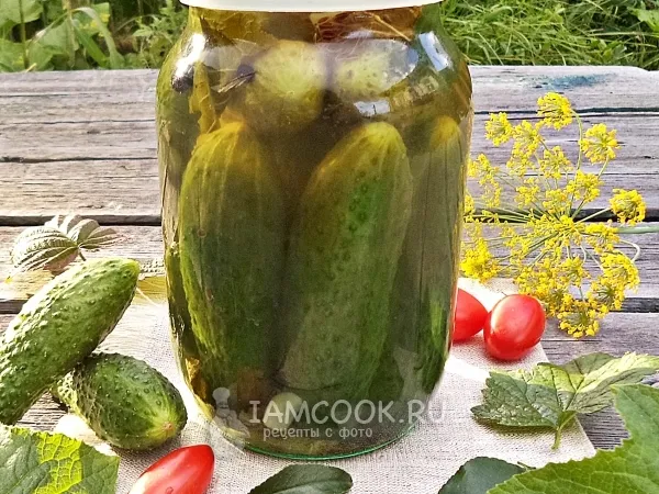 Фото блюда: Огурцы под капроновой крышкой на зиму