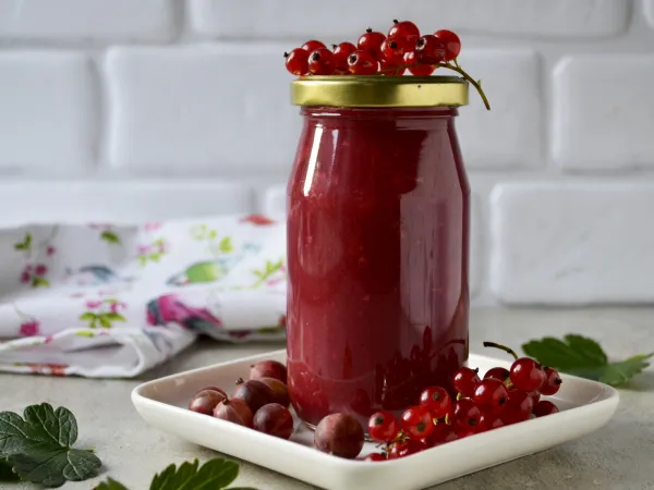 Фото блюда: Соус из красной смородины и крыжовника