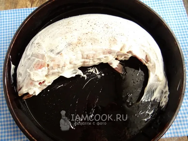 Шаг 20: иллюстрация