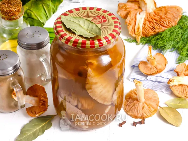 Фото блюда: Сыроежки маринованные