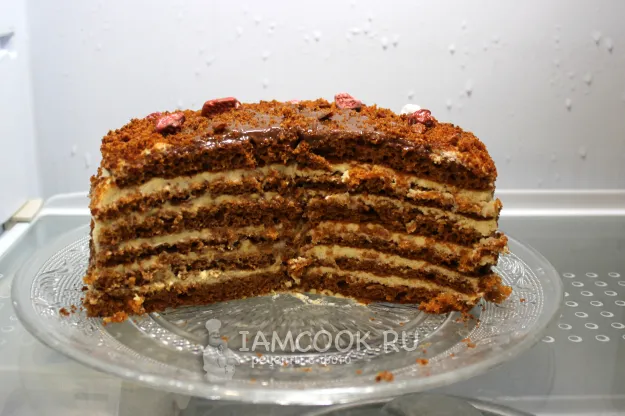 Шаг 15: иллюстрация