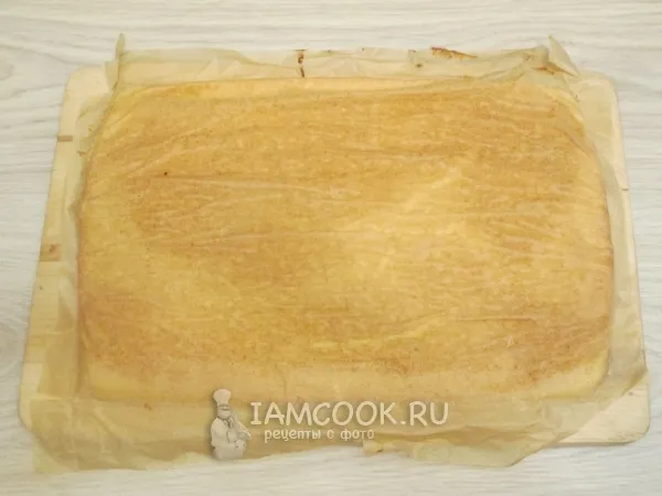 Шаг 16: иллюстрация