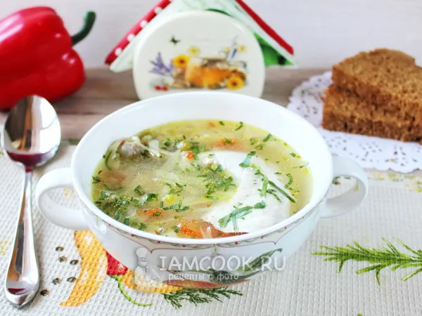 Фото готового блюда: Суп из куропатки