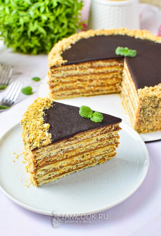 Шаг 14: иллюстрация