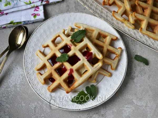 Фото готового блюда: Вафли на кислом молоке