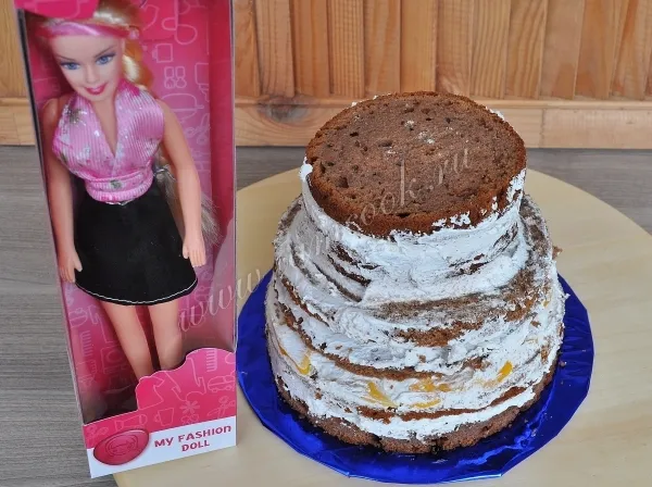 Шаг 11: иллюстрация