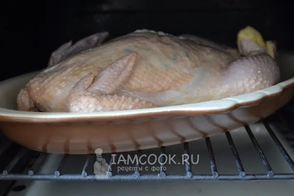 Шаг 19: иллюстрация