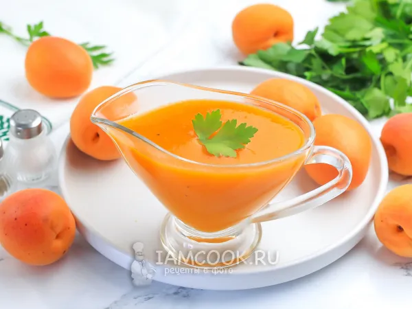 Фото блюда: Соус из абрикосов к мясу на зиму