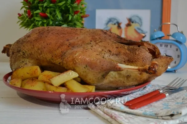 Шаг 14: иллюстрация