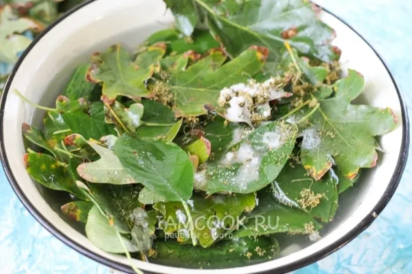 Шаг 6: иллюстрация