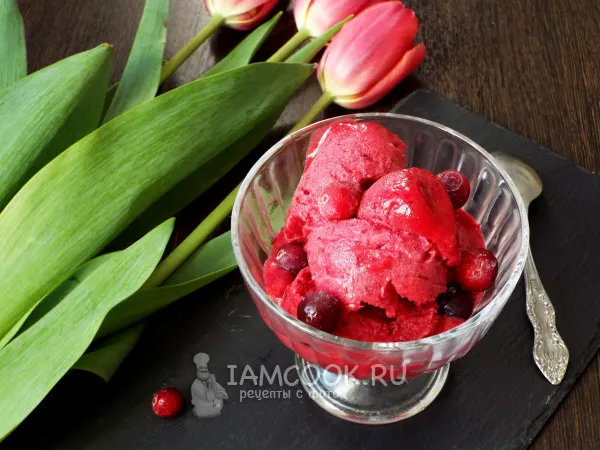 Фото блюда: Клюквенный сорбет