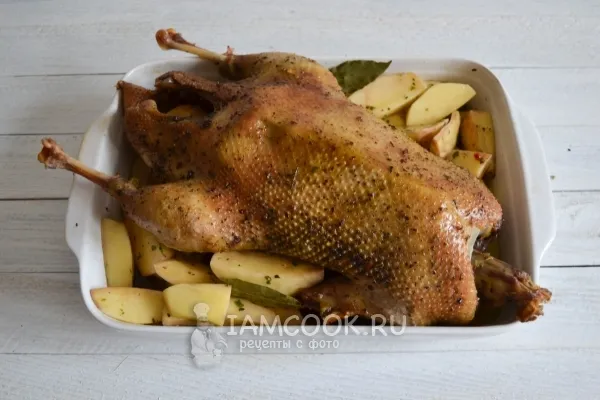 Шаг 11: иллюстрация