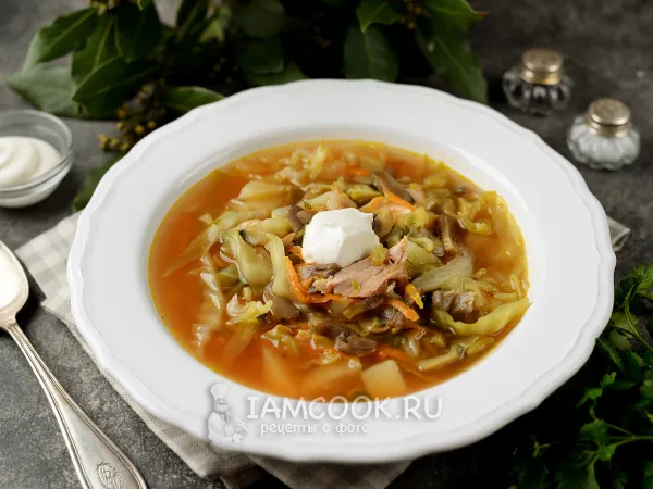 Фото блюда: Щи с курицей и грибами