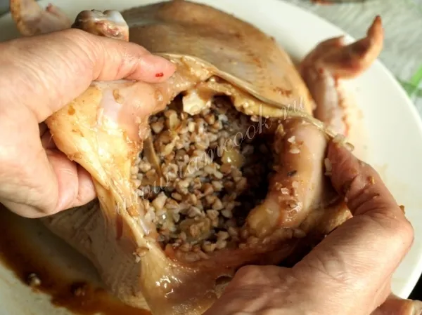 Шаг 10: иллюстрация