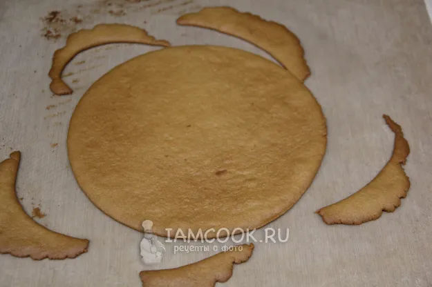 Шаг 12: иллюстрация