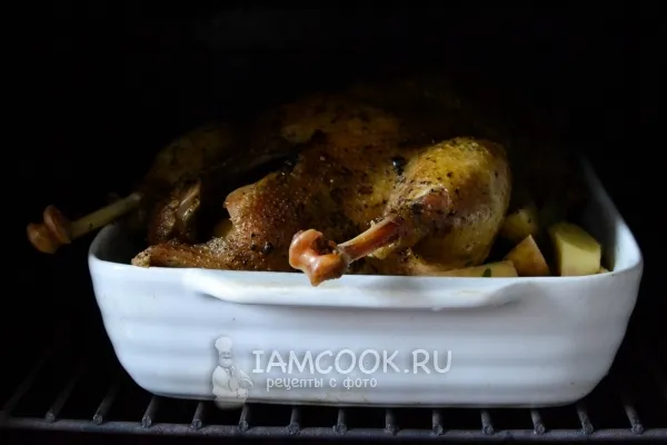 Шаг 12: иллюстрация