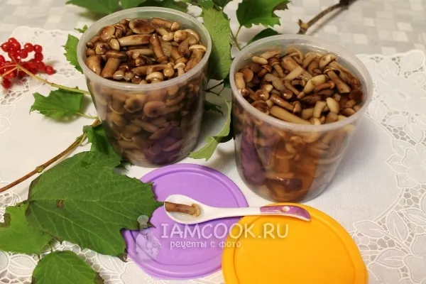 Шаг 9: иллюстрация