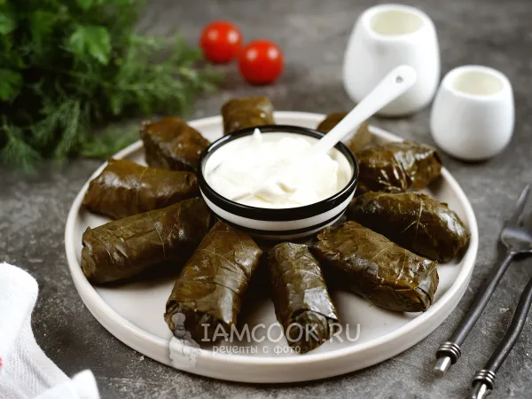 Фото готового блюда: Долма с индейкой