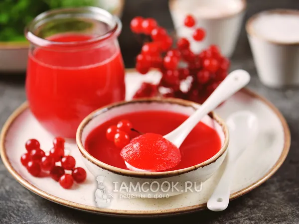 Фото готового блюда: Желе из калины без косточек без варки