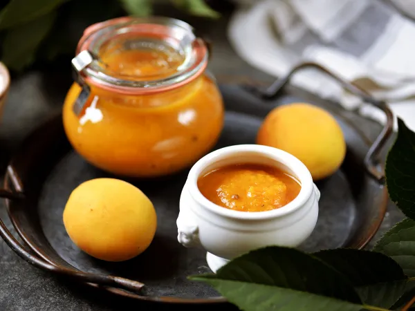 Фото блюда: Ткемали из абрикосов