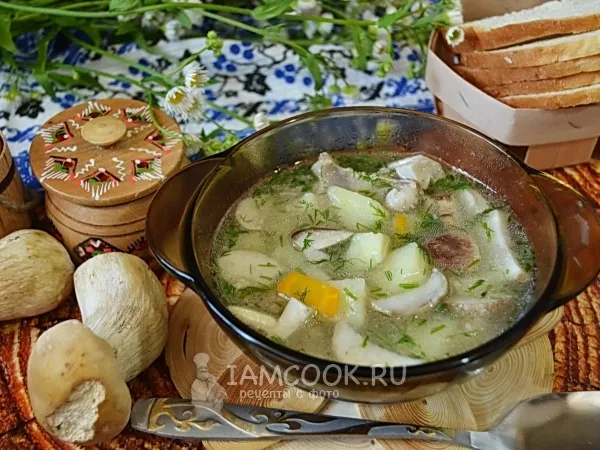 Фото блюда: Суп из свежих белых грибов