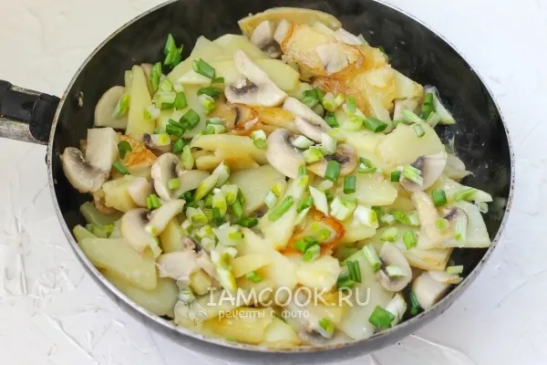 Шаг 5: иллюстрация