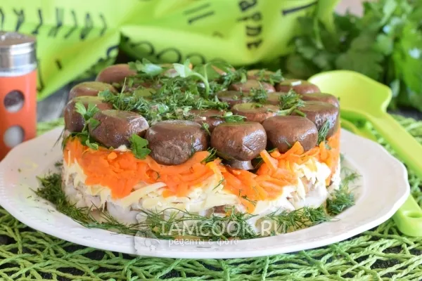 Шаг 17: иллюстрация