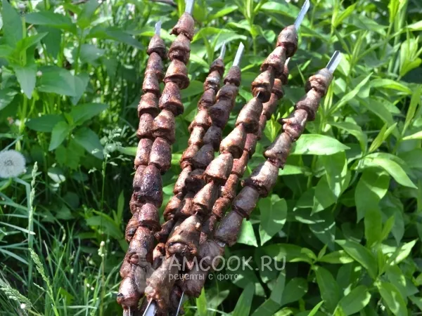 Фото готового блюда: Шашлык из куриных сердечек в сметане (на мангале)